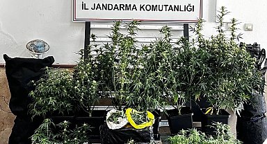 Bursa'da kilolarca esrar ve skunk ele geçirildi