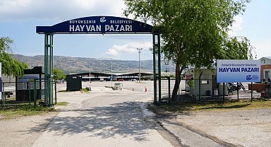 Eskişehir'de Hayvan Pazarı Kurban Bayramı için hazırlanıyor