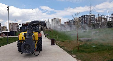 Kayseri Talas'ta haşeratla tam gaz mücadele