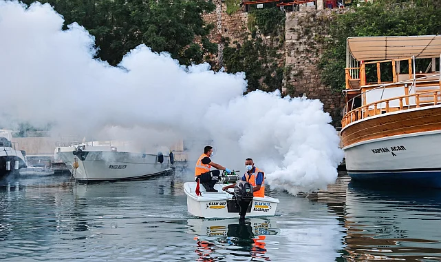 Antalya'da sahil bandında vektörle mücadele