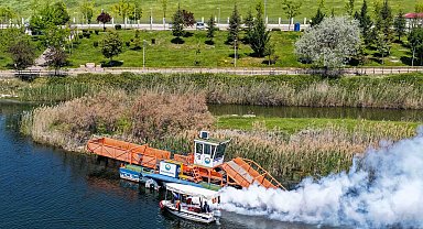 Başkent'te yaz dönemi ilaçlama seferberliği başladı