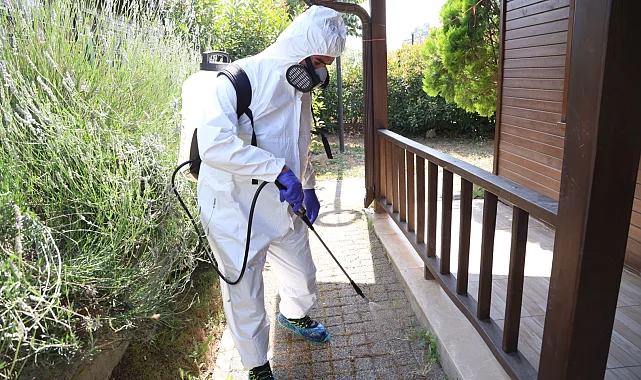 Bursa Nilüfer'de haşere ve kemirgen mücadelesi