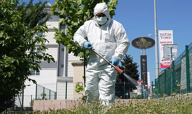 İstanbul Beylikdüzü'nde etkin mücadele tam gaz