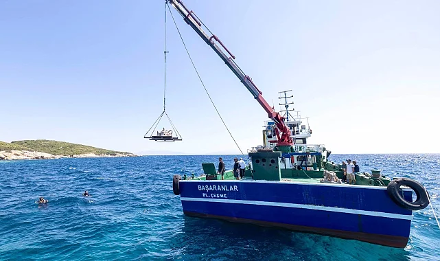 İzmir'de midye kabukları deniz yaşamına nefes olacak