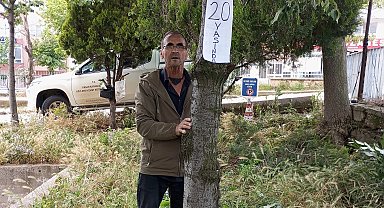 Keşan'da yıllar önce diktiği ıhlamurları kendi elleriyle bakıma aldı