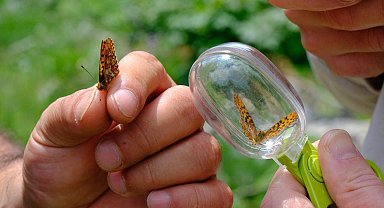 Kuzuyayla'nın zengin biyoçeşitliliği incelendi