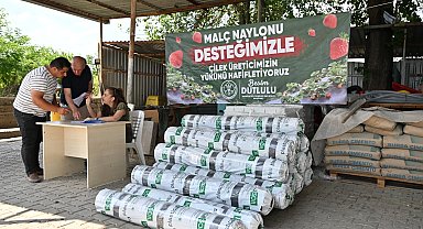 Manisa'da çilek üreticisine Büyükşehir'den destek
