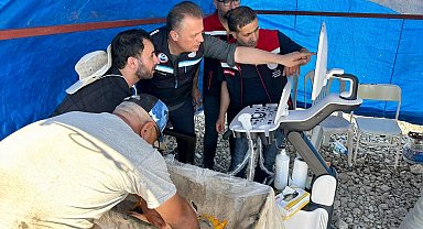 Mersin balıklarında erken cinsiyet tespiti için eğitim