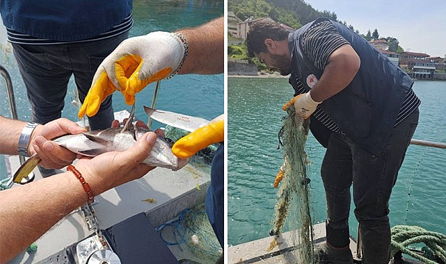 Türkeli açıklarında su ürünleri denetimi gerçekleştirildi