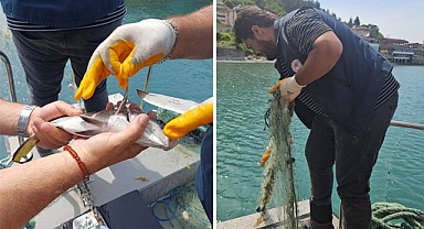 Türkeli açıklarında su ürünleri denetimi gerçekleştirildi