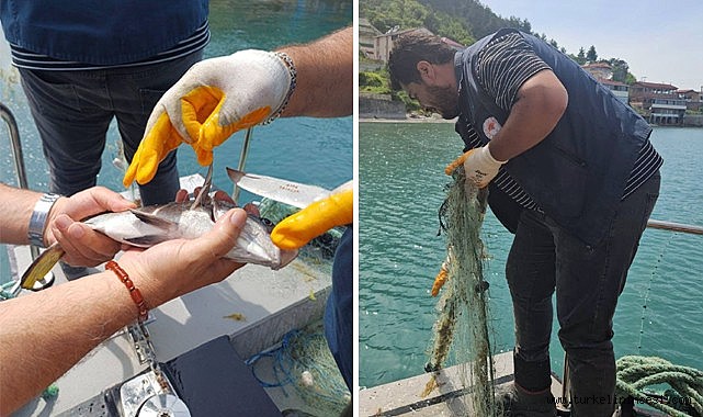 Türkeli açıklarında su ürünleri denetimi gerçekleştirildi