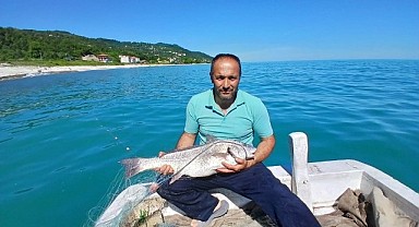 Türkeli’de nadir görülen kötek balığı avlandı