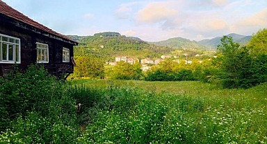 Türkeli Güzelkent'te satılık arsa ve müstakil ev