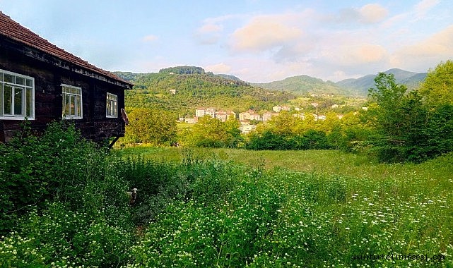 Türkeli Güzelkent'te satılık arsa ve müstakil ev