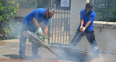 Antalya'da vektörel mücadele 4 koldan sürüyor