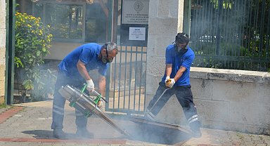 Antalya'da vektörel mücadele 4 koldan yürütülüyor