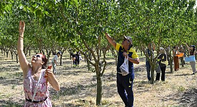 Başkentliler ATA Çiftliği'nde hasat coşkusunu yaşadı