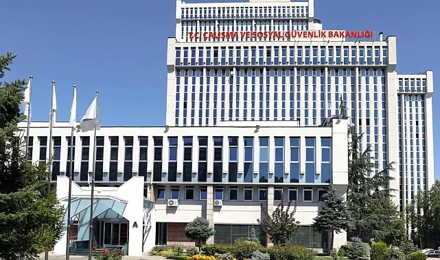 Bazı kamu kurumlarının hizmet kolları yeniden belirlendi