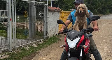 Düzce'de bir an olsun sahibi yalnız bırakmayan köpek gülümsetti