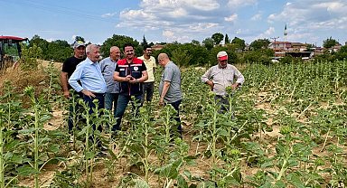 Edirne Keşan'da fırtına sonrası hasar tespiti başladı