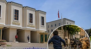 Halfeti'deki köpek saldırısıyla ilgili Mülkiye Müfettişi görevlendirildi