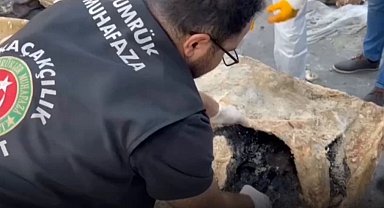 Hamzabeyli'nde yaban hayvanı kaçakçılığına darbe! 2 vaşak ve 2 serval kurtarıldı