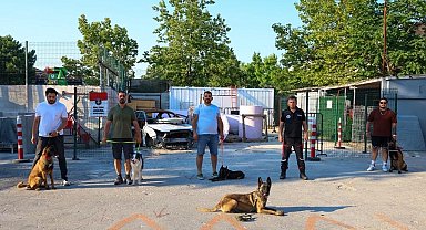 İstanbul Maltepe'de patili kahramanlar afetlere hazırlanıyor
