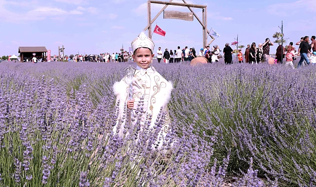 Konya Karatay'da Lavanta Bahçesi'nde festival hazırlığı