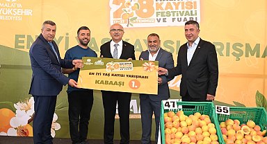 Malatya'da kayısılar yarıştı