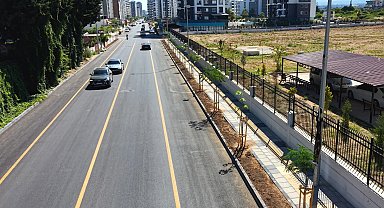 Mersin'de Gazi Paşa Caddesi 420 ağaçla yeşillendi