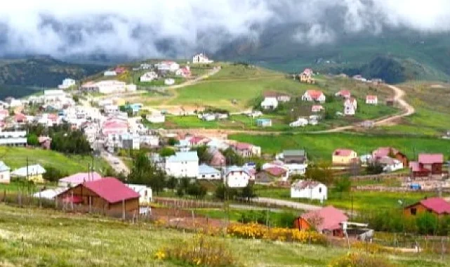 Ordu'da Çambaşı Yaylası'nda festival coşkusu