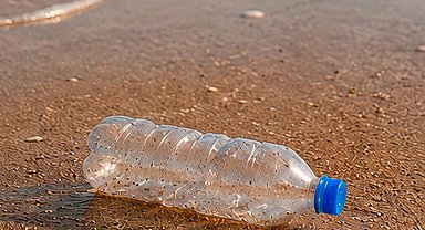 Plastiksiz Temmuz hareketi ile küresel farkındalık