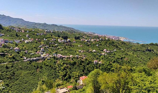 Türkeli Gündoğdu Köyü'nde deniz manzaralı satılık arsalar