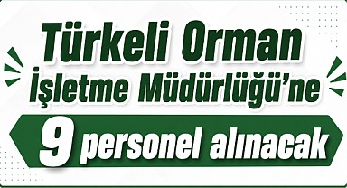 Türkeli Orman İşletme Müdürlüğü'ne 9 personel alınacak