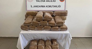 Yalova'da 160 kilogram bandrolsüz tütün ele geçirildi