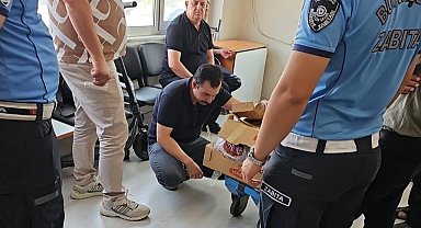 Zabıtadan sağlıksız et operasyonu