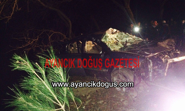 Ayancık’ta otomobil denize uçtu: 2 yaralı
