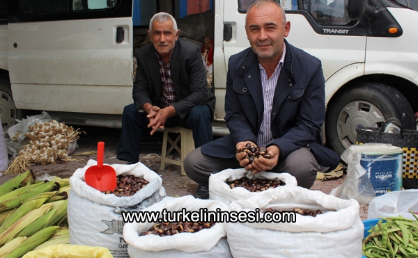 Kestane pazara indi