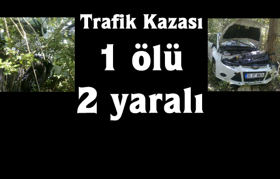 Trafik kazası: 1 ölü, 2 yaralı
