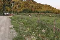 Türkeli'de sahibinden 550 m2'lik satılık arsa