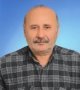 Kestane gal arısı